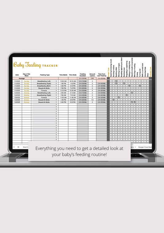 Ultimate Baby Feeding Tracker with Summaries Google Sheets Spreadsheet
